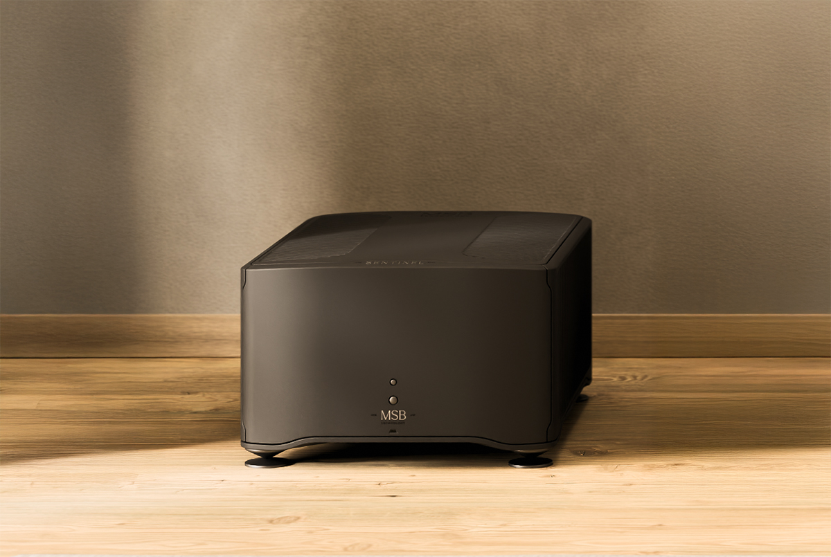 MSB Sentinel DAC — Sentinel Power Supply